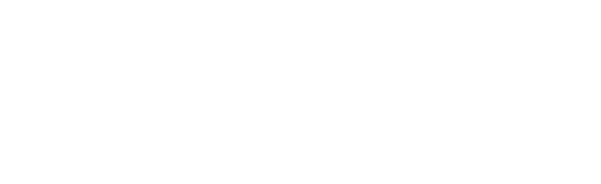 Backseat Logo